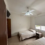 Vivo Alquilando - Brown 340
