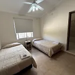 Vivo Alquilando - Brown 340